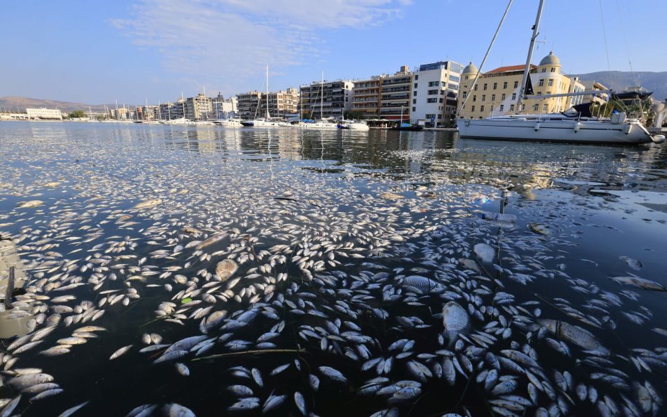 Greece Declares State of Emergency in Volos After Mass Fish Die-Off