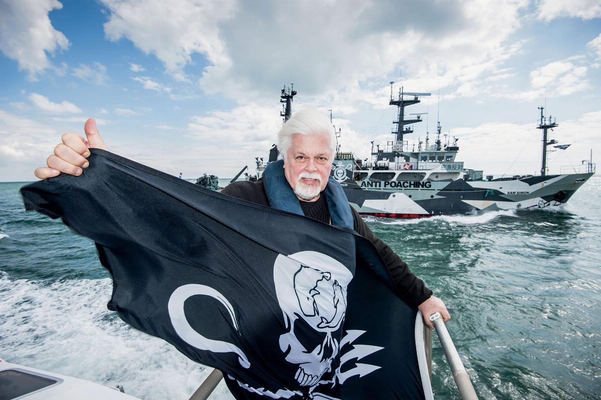 Greenland Court Extends Detention of Anti-Whaling Activist Paul Watson