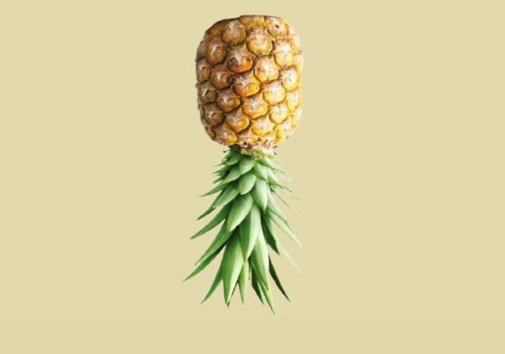 Spanish Supermarket Shoppers Use Pineapples to Find Love in a Surprising New Craze