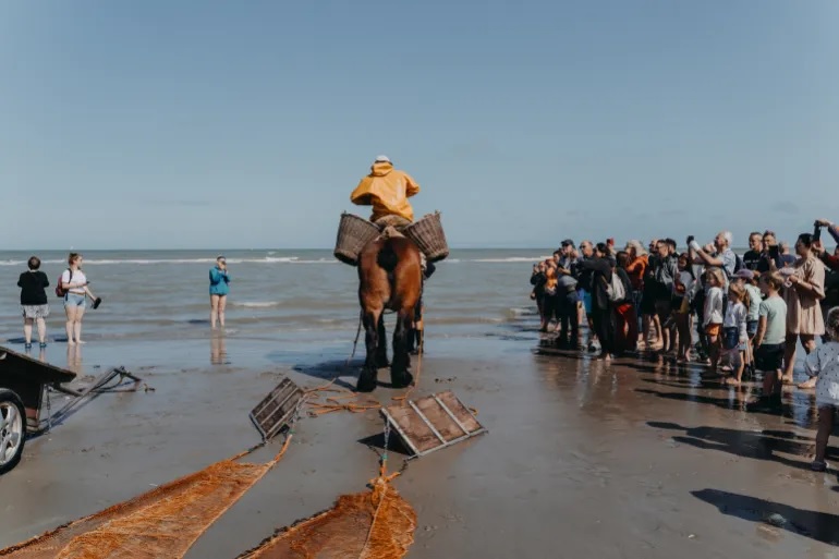 The Future of Belgium’s Centuries-Old Horseback Shrimp Fishing Tradition