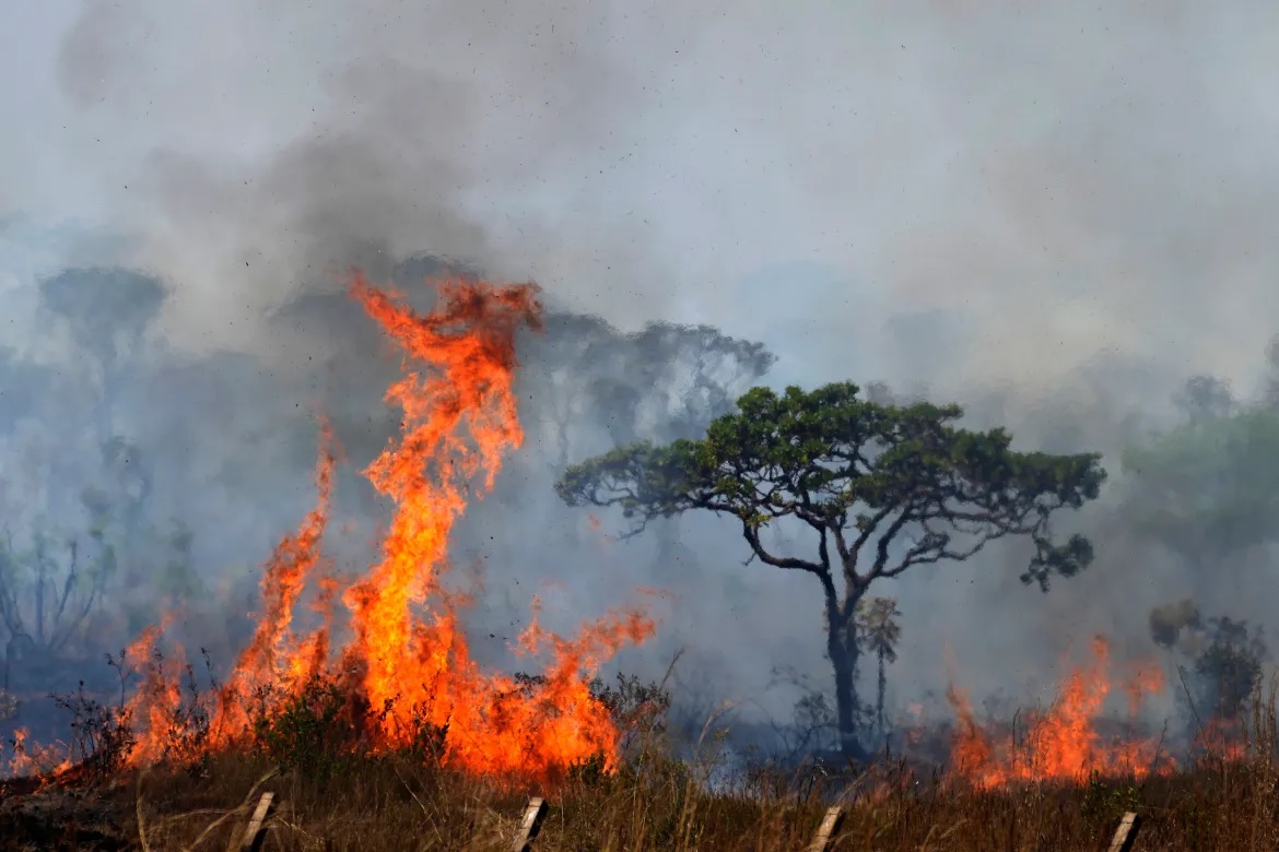 Firefighters Battle Wildfires in Brazil’s National Park Amid Historic Drought