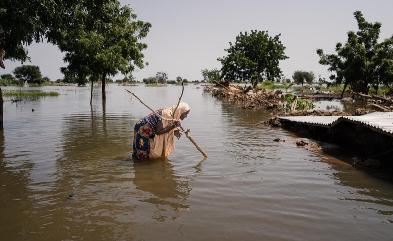 Floods devastate west and Central Africa as millions displaced and aid efforts ramp up