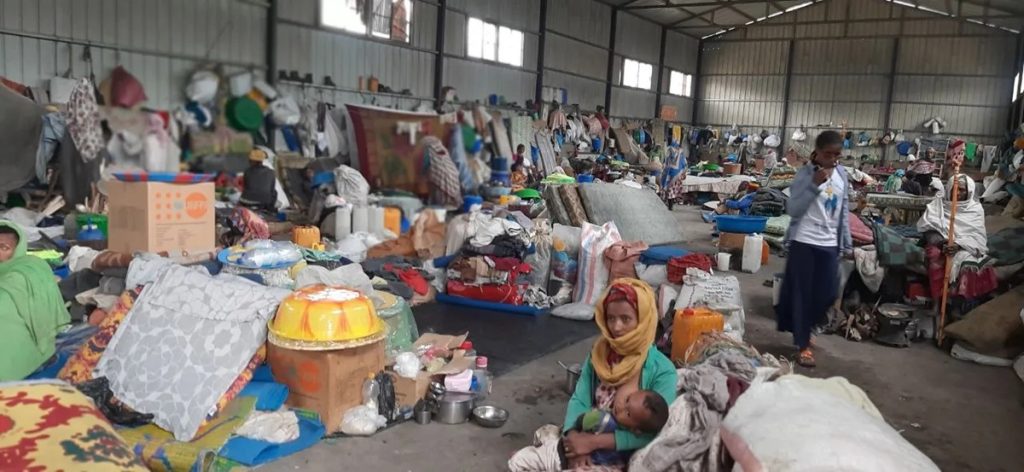 Conflict in Amhara Region Drives Displacement and Food Shortages