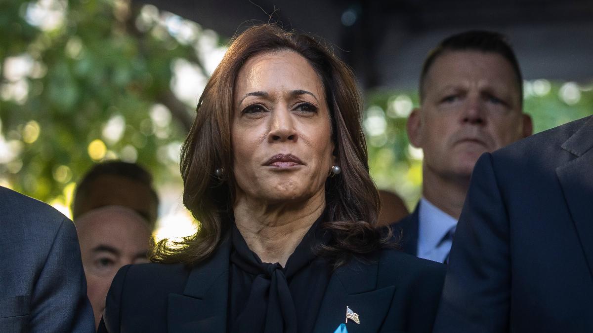 Harris campaign strategy questioned as election approaches