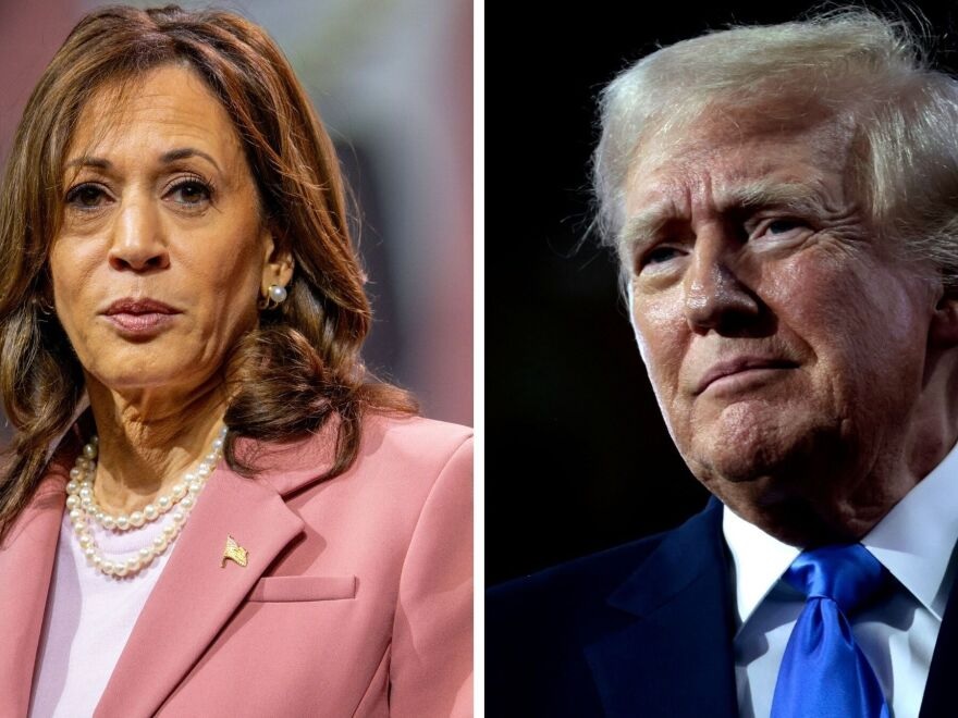 Trump holds lead over Harris in Texas poll amid democratic efforts