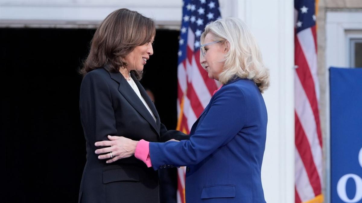 Harris faces backlash from pro-Palestinian voters over Liz Cheney endorsement